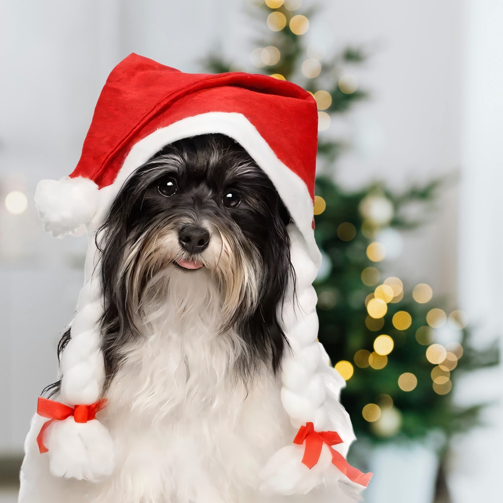 Bonnet de Mère Noël