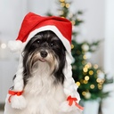 Bonnet de Mère Noël