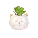 HD4119_VISU02.webp