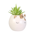 HD4119_VISU01.webp