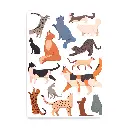 untitled-0(1).webp