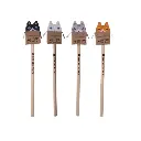 Crayon avec Chat dans sa Boîte