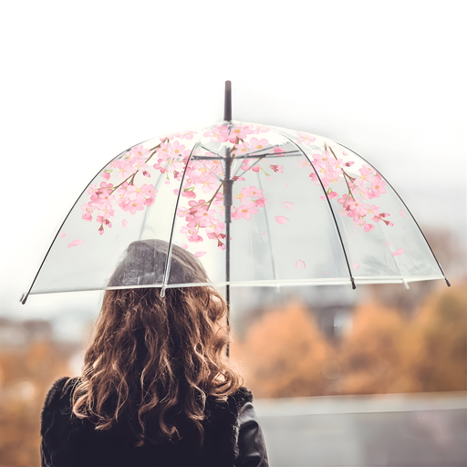 [3664944439011] Parapluie Transparent Imprimé